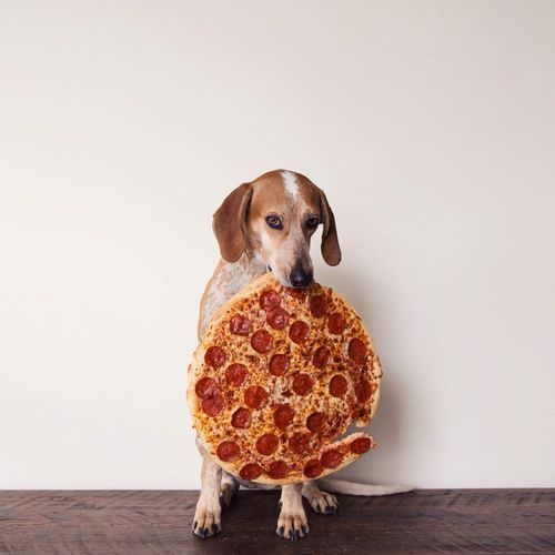 30 signos que demuestran que la pizza es el mejor invento del mundo | The Idealist