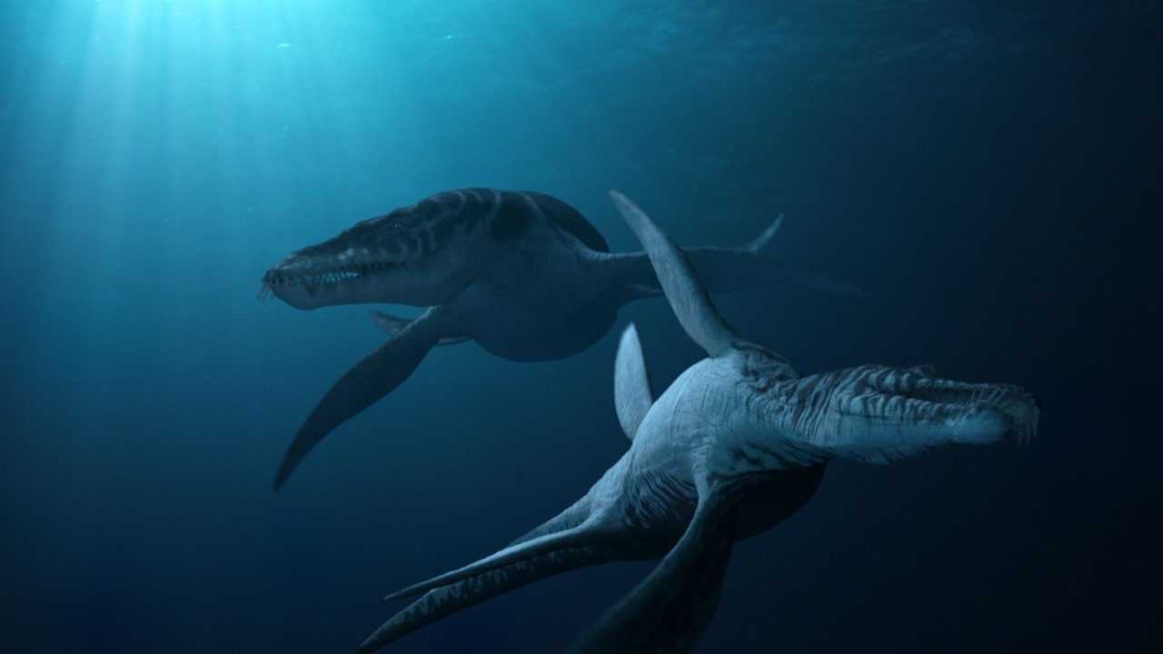 King Of The Sea - Dinosaurs Forum