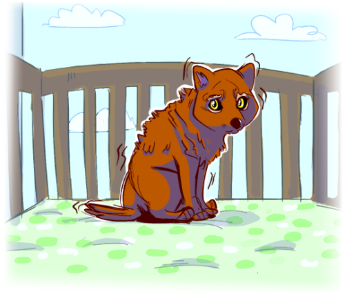 cartoonheroes:

I wanted to do a Wilde Life warm up sketch and I was looking up some wolf reference for Clifford… and I saw a baby wolf photo. And damn those things are cute! So here’s a baby Clifford who changed in his crib, terrified and uncomfortable out of his mind because…. what is going on?! 
Go read the comic and check out the Kickstarter, we’re so close to a bonus Clifford comic! 


I have been murdered by the cuteness of this picture.  <3 <3p.s. you should check out @cartoonheroes tumblr because it has many good and beautiful stuffs! :)