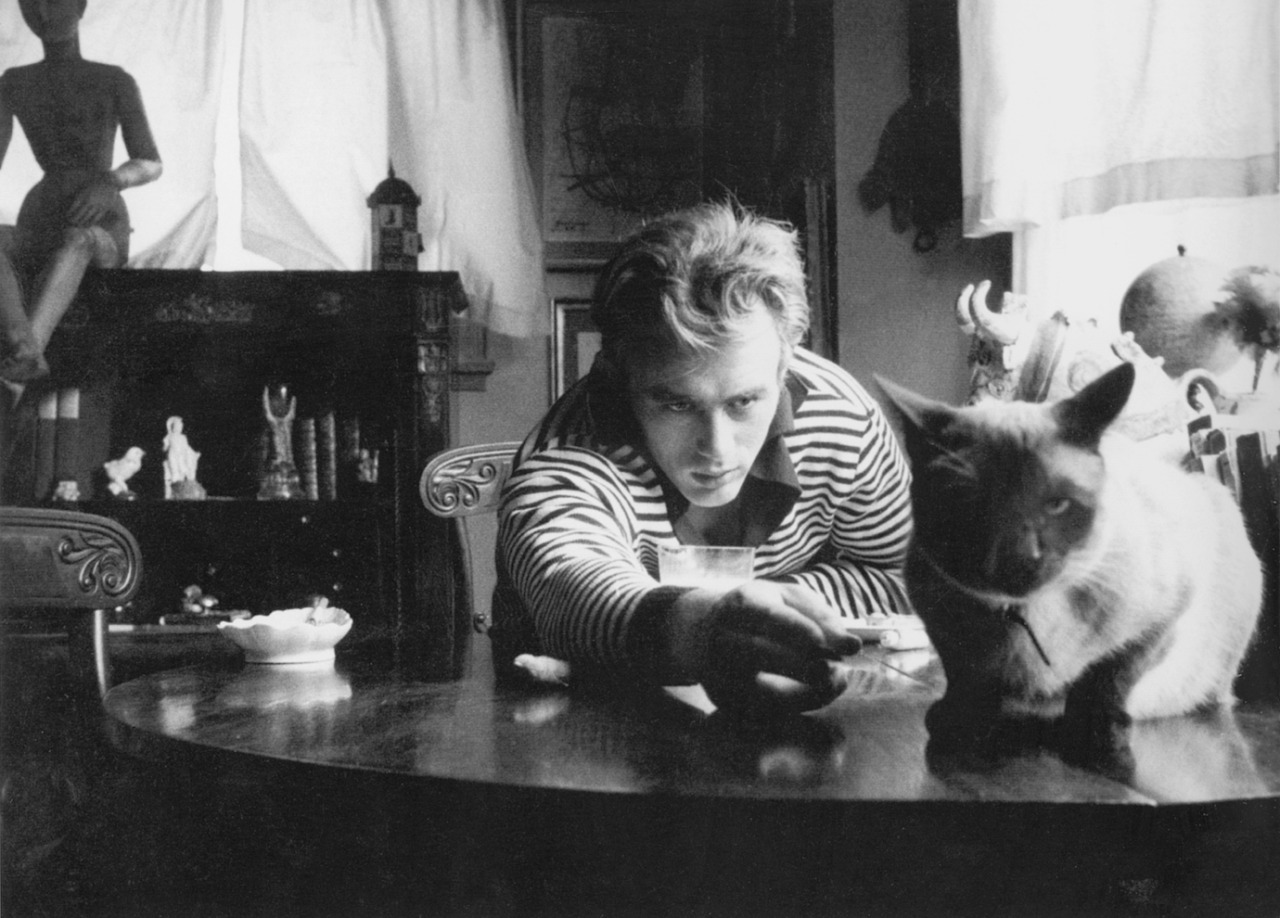 James Dean and his Siamese, Marcus. 1955.Photographer: Getty Images