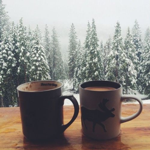 Image result for coffee and nature