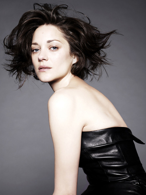 brentbs:

Marion Cotillard by Jan Welters
Every once and a while I blog a picture of her because she’s pretty. Why not, today?
