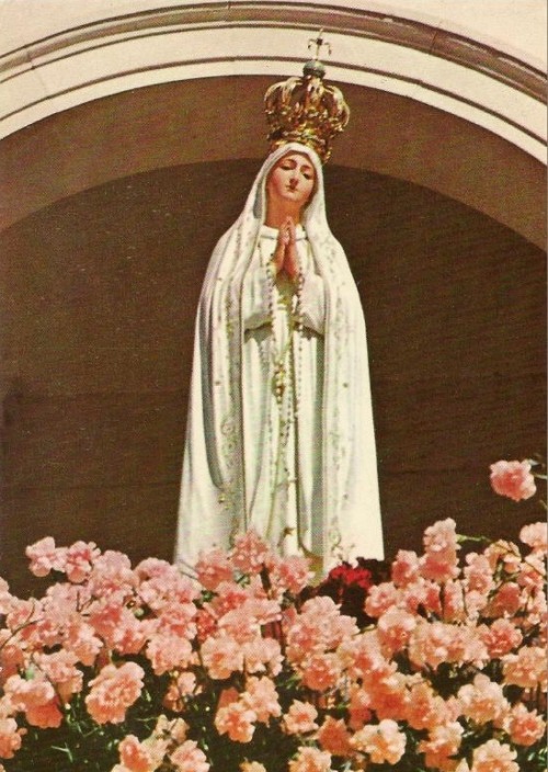 Queen of the Rosary, sweet Virgin of Fatima, pray for us!