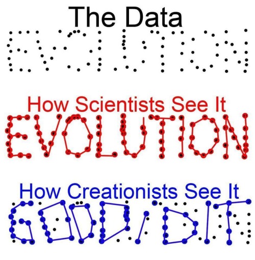 All the data in biology, physiology, anatomy, genetics, and the fossil record 
Vs. 
a small handful of vague verses and infinite confirmation bias.