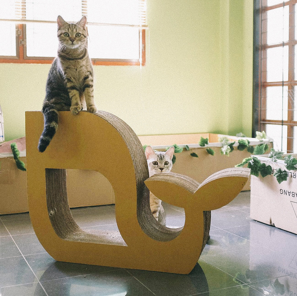 mimi-the-cat:cattoysandgear:KAFBO Cat Scratching Furniture Whale shape cat toys

いいなあ、これ♡(=´∀｀)人(´∀｀=)♡