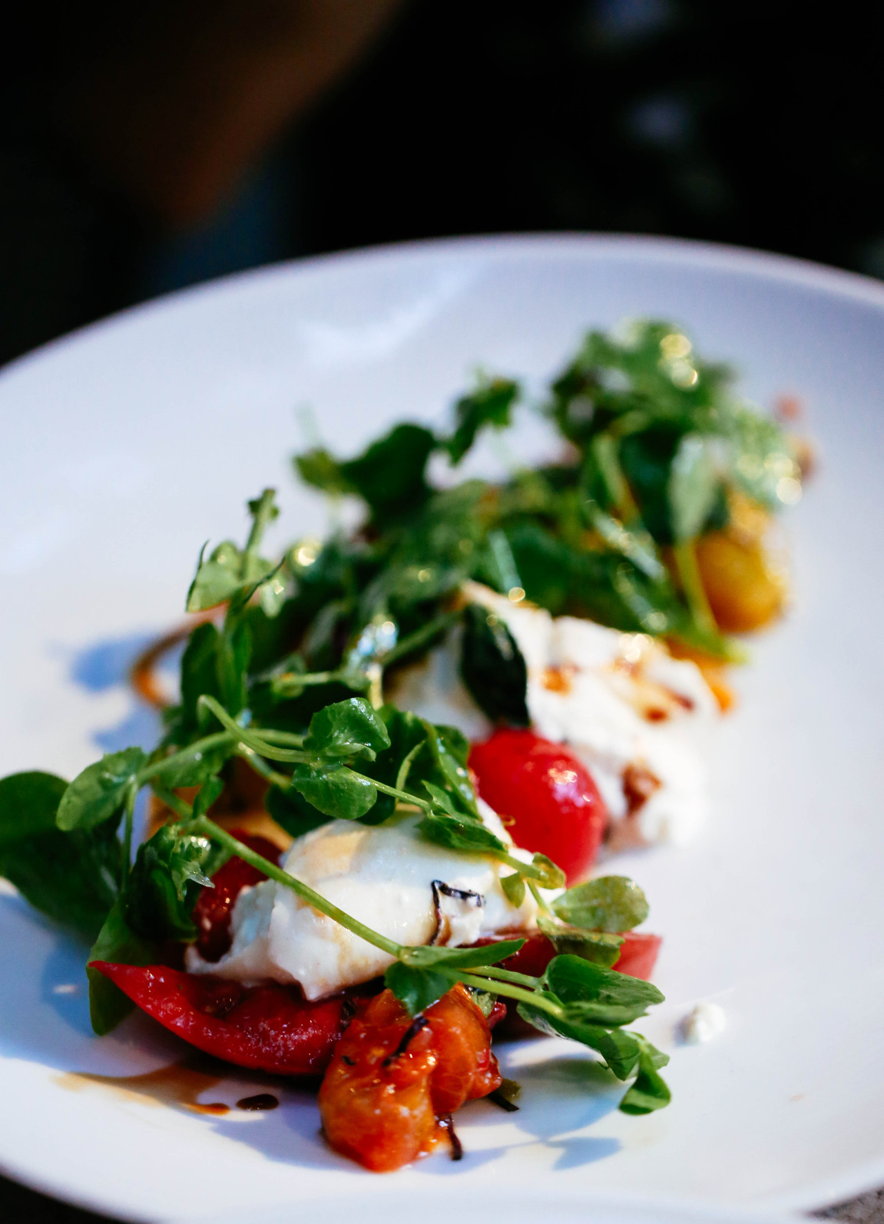redefiningfood:

Caprese salad with fresh farm tomatoes, mozarella, pea shoots and balsamic vinegar at Harvest, Cambridge MA [More from Cambridge]
