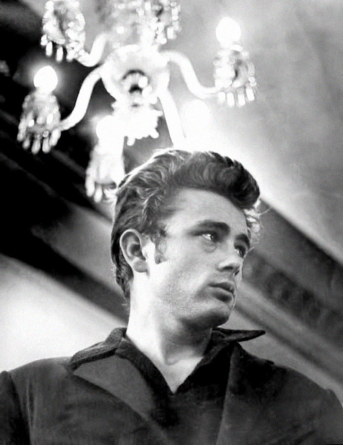 
>James Dean photographed by Roy Schatt, 1954.
<br />