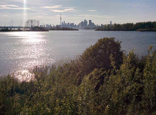 Tommy Thompson Park view west