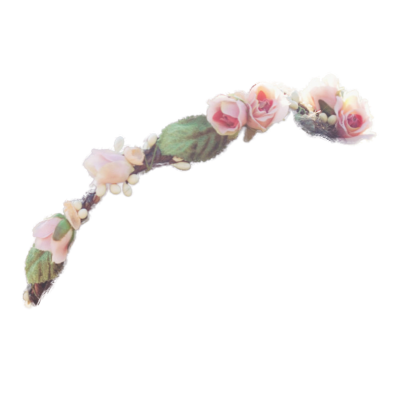 Totally tumblr flower png Transparent crowns