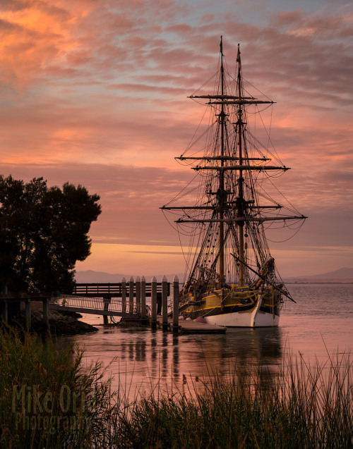 me-lapislazuli:


 Lady Washington by Mike Oria



 Via Flickr:
 This evening at the Antioch marina, Lady Washington anchors in for the night.

Lens is the older A80-160 on the 645D. Single exposure.
 
