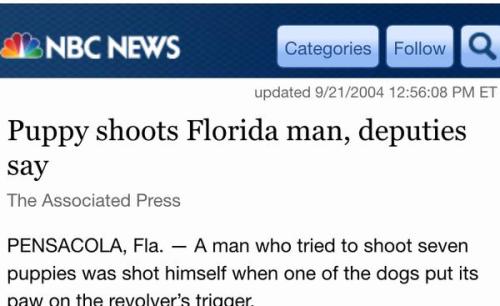 unicornlordart:

Puppy ends the terror spree of the notorious Florida man.
