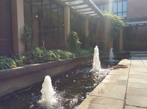 Fountains at Massey College
