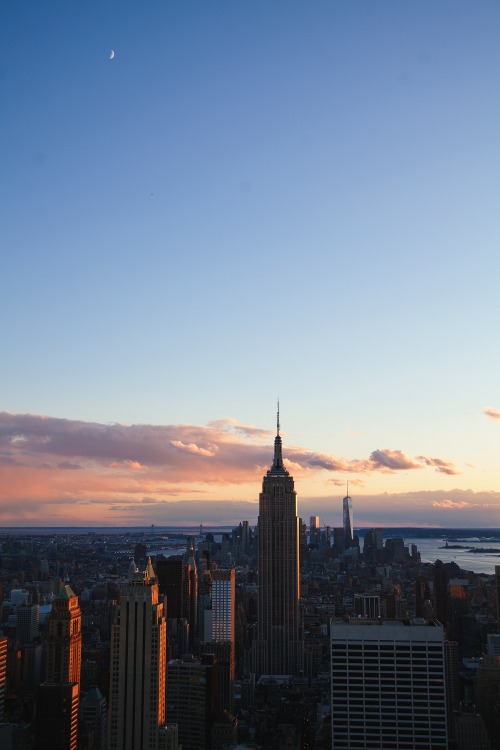 aguidetolivingwell:

New York City by Jessica Stein.