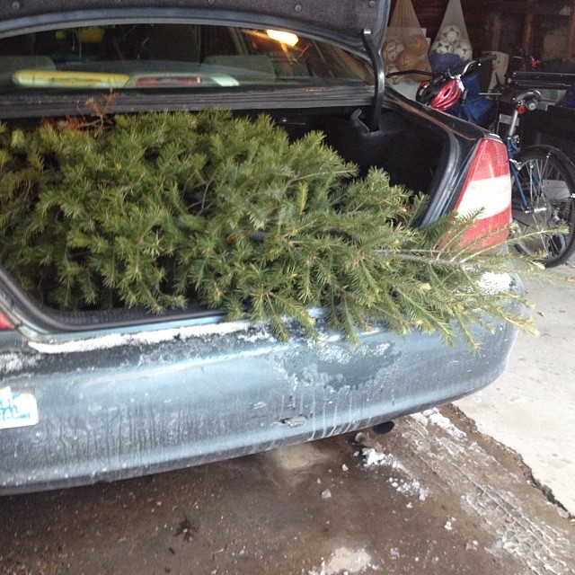 dad's car with tree