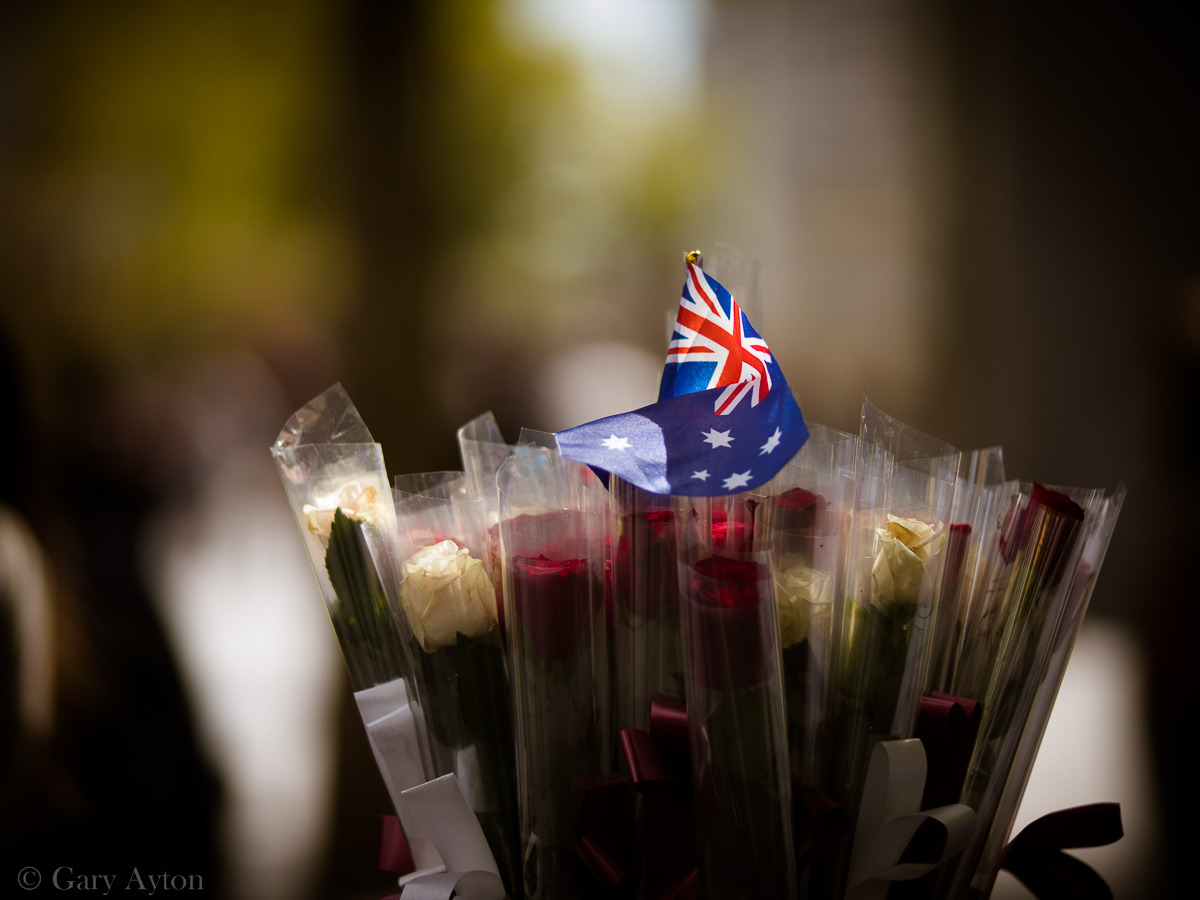 Australia Day flag and roses backlit by low sun