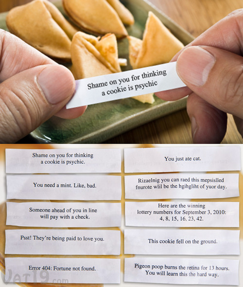 Unfortunate Fortune Cookies
Let’s be honest, no one gives two shits about fortunes that say things like “An exciting opportunity lies ahead” or “A thrilling time is in your immediate future”. Thankfully a company by the name of Vat19 decided to write some humorous fortunes, that poke fun at how bland and stupid some fortune cookies can be.