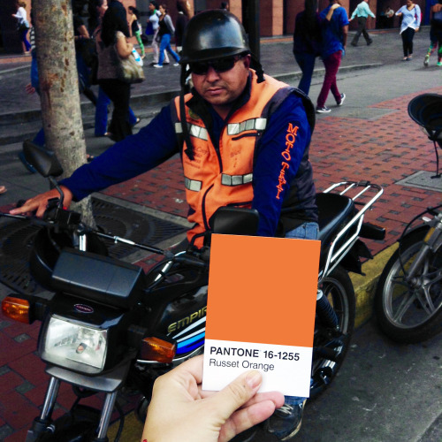 Experiencia Pantone.Oficio: Mototaxista.Fotografía: Flavia Rainone.Caracas, Venezuela.2015.Pantone Experience.Occupation: Moto taxi driver.Photography: Flavia Rainone.Caracas, Venezuela.2015.