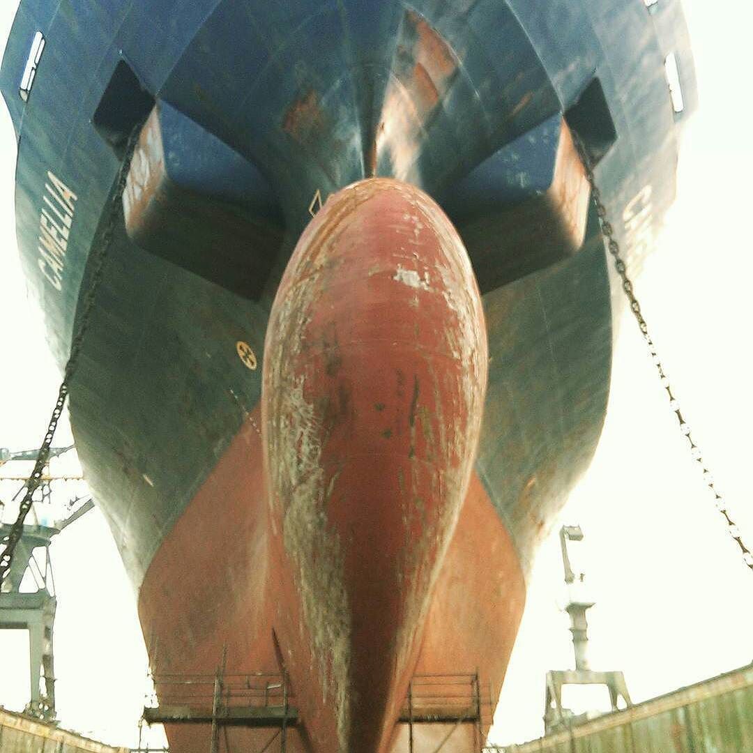 shipsandseasworldwide:

The Camelia in drydock 
Photo sent to us by @world_voyager_ http://ift.tt/1X3qc8O