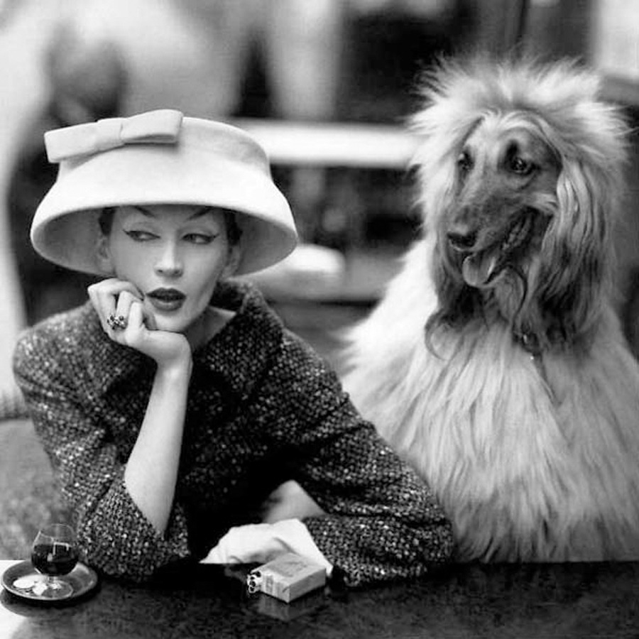 wehadfacesthen:

Dovima with Sacha the dog, hat by Balenciaga, photo by Richard Avedon, Paris, 1955
