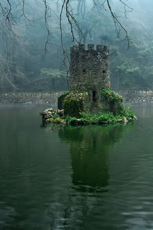 stunningpicture:

Tiny Castle Built for Ducks in Portugal
