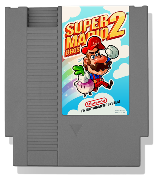 Super Mario Bros. 2 (1988) Nintendo Entertainment System Cartridge Tribute