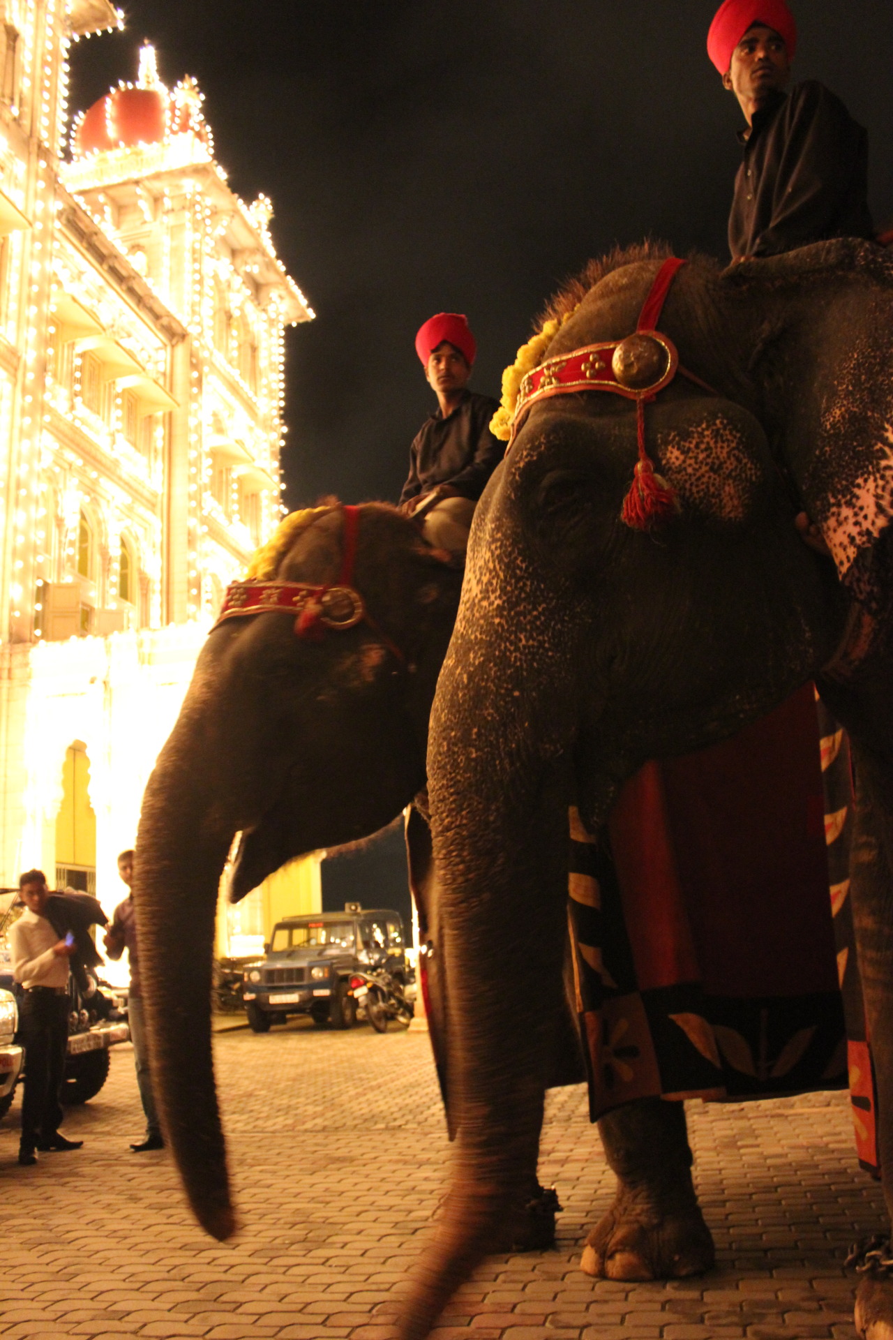Elephants outside the Mysore palace