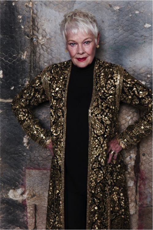  

 Dame Judi Dench and AJSK Couture in &ldquo;India Fantastique&rdquo;
        
      http://www.theprotagonistmagazine.com/fashion/dame-judi-dench-and-ajsk-couture-in-india-fantastique