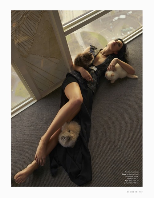 etoystk:Moa Aberg Makes One Chic Cat Lady in Fashion Editorial...