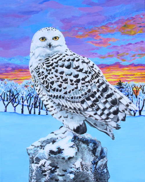 Owl in the SnowAcrylic on Canvas14? x 11?©  2015 Alexandra Shaver