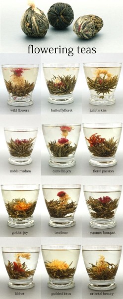 pearl-nautilus:

sagefae:

Flowering Teas

“Honestly, if you’re given the choice between Armageddon or tea, you don’t say ‘what kind of tea?” ― Neil Gaiman
But Neil, these are especially pretty :)
