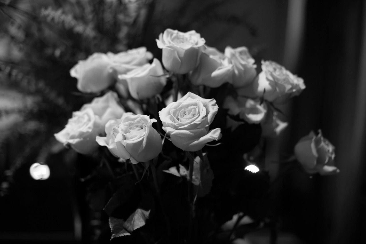 Black And White Roses Tumblr