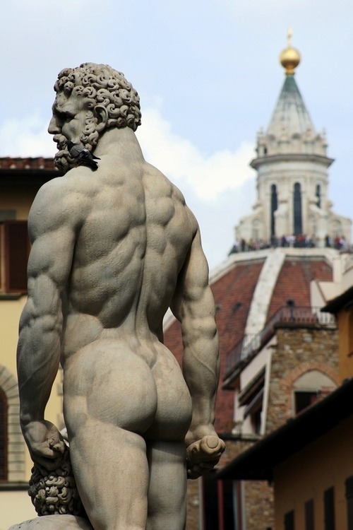quadbroad:nebraskaswole:

visualstatic101:Hercules Florence, Italy

Manbutt for quadbroad

LOL