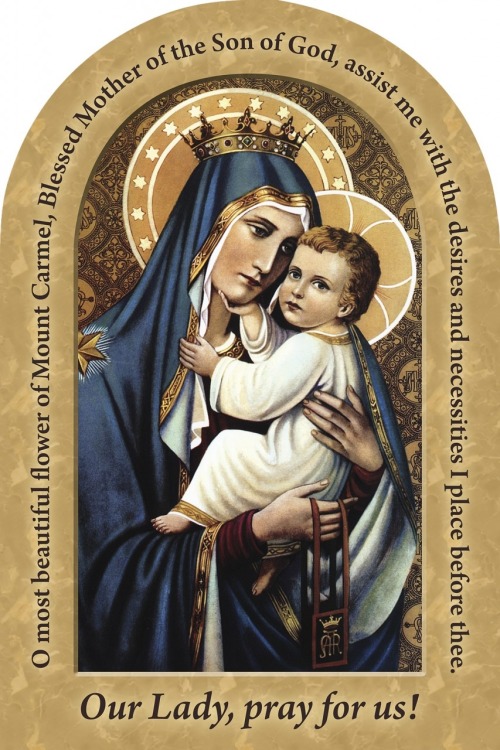 burning-lampstand:

Novena to Our Lady of Mount Carmel
(July 7-15; Feast Day July 16)

Queen of Carmel, Mother of God and of poor sinners; special protectress of all who wear thy holy Scapular, I ask thee to obtain for me the pardon of my sins, amendment of my life, salvation of my soul, comfort in my suffering, and particularly, the grace I now ask: (mention your request).

(Our Father, Hail Mary, Glory Be)