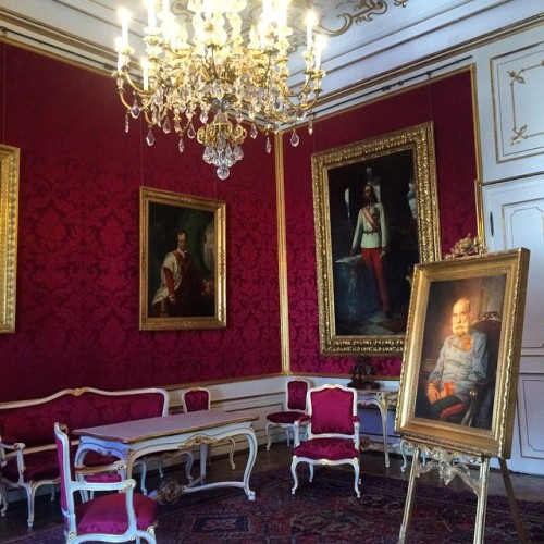 hortovanyi:

Audience Chamber #Vienna #toursist #habsburg (at Hofburg Palace)