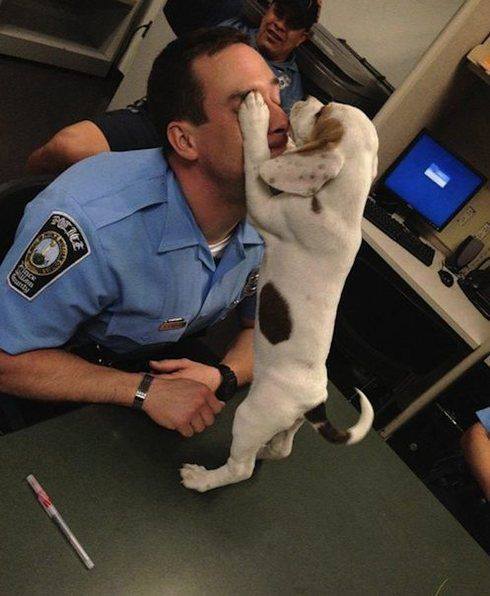 
Police officers rescued the little pup from an abusive owner. And then one adopted her.
