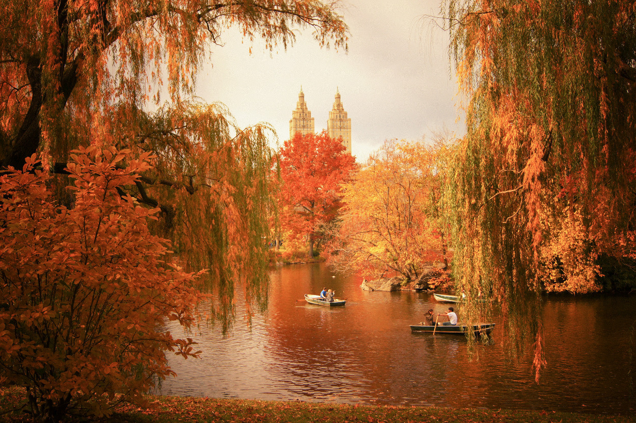 New York City - Autumn - Central Park - Lake

&mdash;

Autumn is the kiss that summer lingers a little longer for;

a warm whisper caressing winter&rsquo;s ear.

And as the trees arch their arms towards the earth, 

heavy with summer&rsquo;s promises,

winter&rsquo;s grey sky looks on

in envy.

&mdash;More Central Park autumn views: Looking for more autumn beauty? Here is a post for the 2014 fall season showing more of Central Park&rsquo;s autumn landscapes with expanded information about when the leaves change (they have started to change!), when peak autumn occurs, and more:

New York Autumn - Central Park&rsquo;s Most Beautiful Autumn Views

&mdash;

Information about my New York City photography book which is releasing in stores and online in the autumn of 2014 (including where to order it): 

NY Through The Lens: A New York Coffee Table Book

—-

View: &ldquo;New York Autumn - Central Park Fall Foliage at The Lake&rdquo; Prints here, My Travel Blog, On G+, email me, or ask for help.