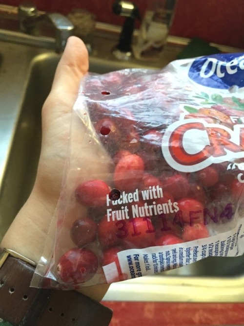 birdyally:

fitstrudel:

memeguy-com:

Did someone violate my cranberries


If I could just get nutrients fucked into me that would make life way easier.

gettin that Vitamin D kno what im sayin
