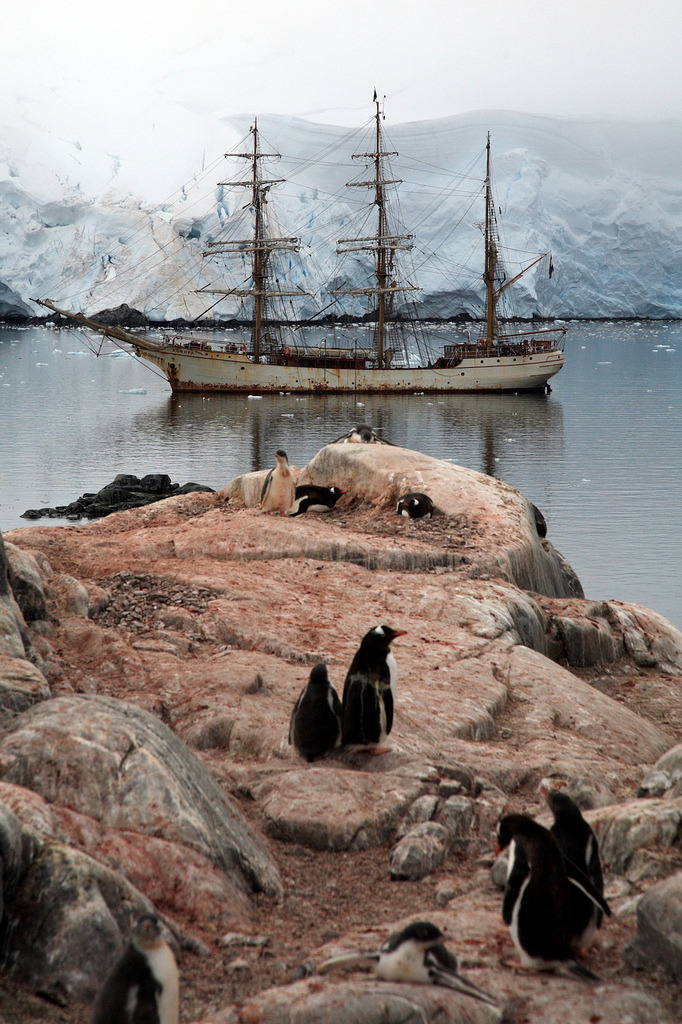 aexerghmc:Port Lockroy, Antarctica by Kate McKenna on Flickr.