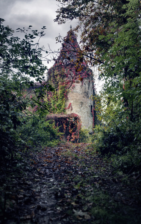 silvaris:


 Ruined Tower - Chateau du Lac by Matt Emmett


 
