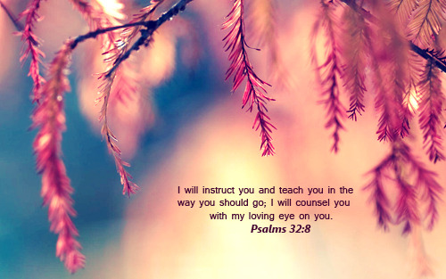 
“I will instruct you and teach you in the way you should go; I will counsel you with my loving eye on you.”
