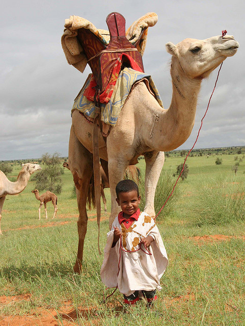visitheworld:

Future Camelmaster in Mauritania, West Africa (by Ferdinand Reus).
