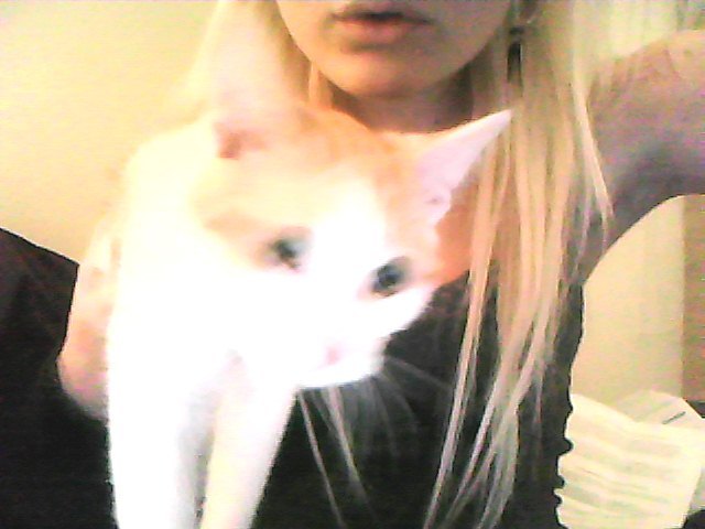 bloody cat won&rsquo;t keep still for a picture lol 