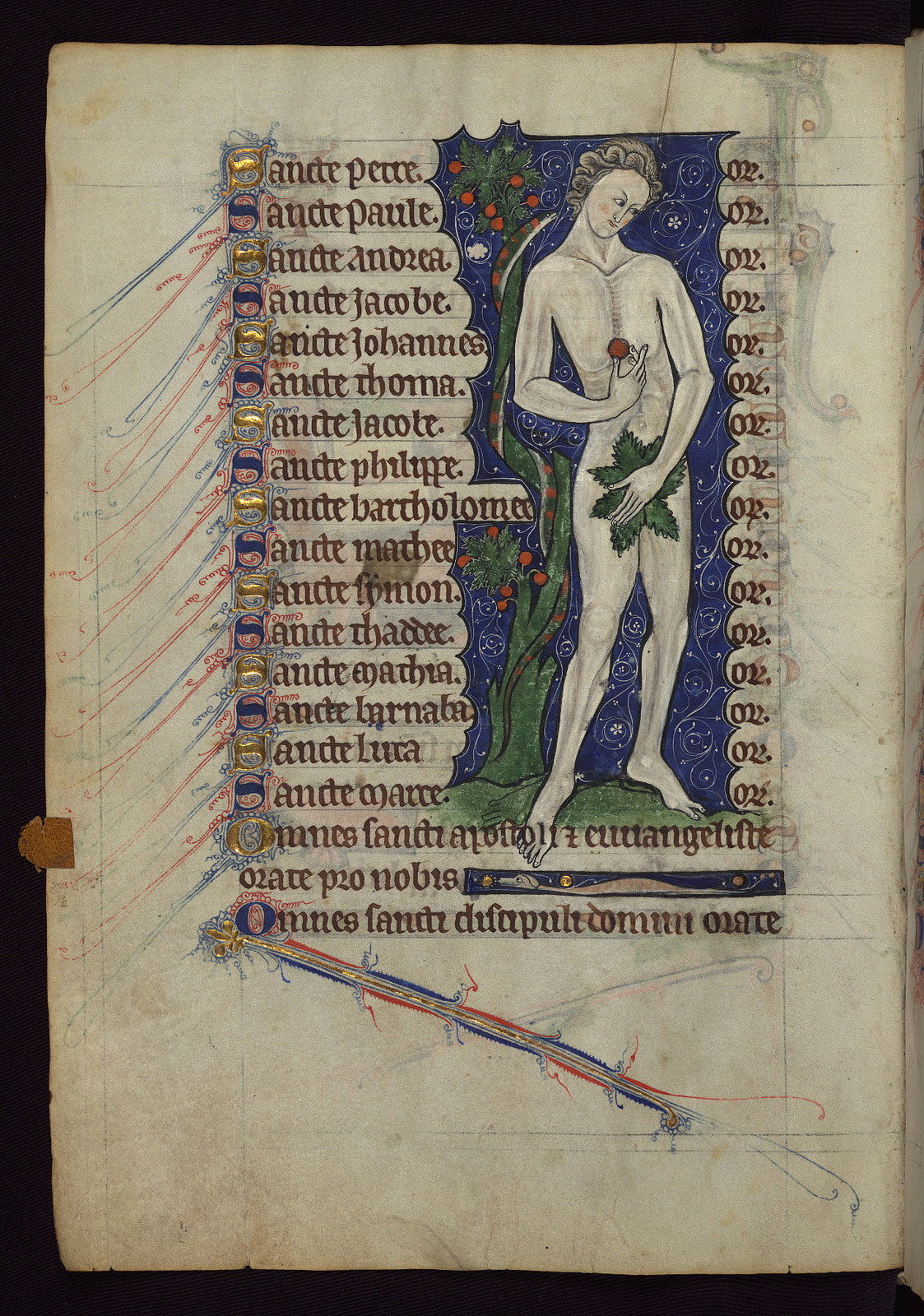 Pretty medieval manuscript of the day depicts Adam, and a well placed fig leaf. dans images sacrée tumblr_mcmj9ihxG21qd4ufdo1_1280