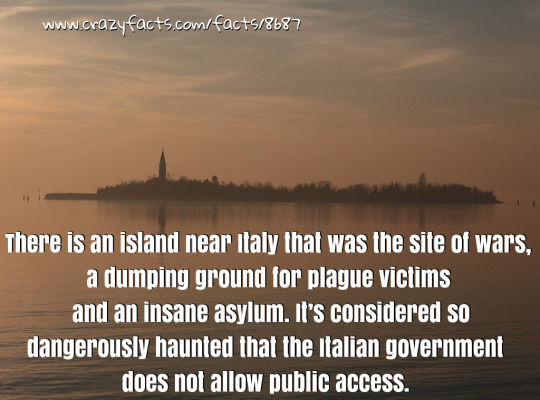 Did you KNOW?! - (and other useless facts!) - Page 2 Tumblr_mp1o4rntXO1s5exc4o1_540