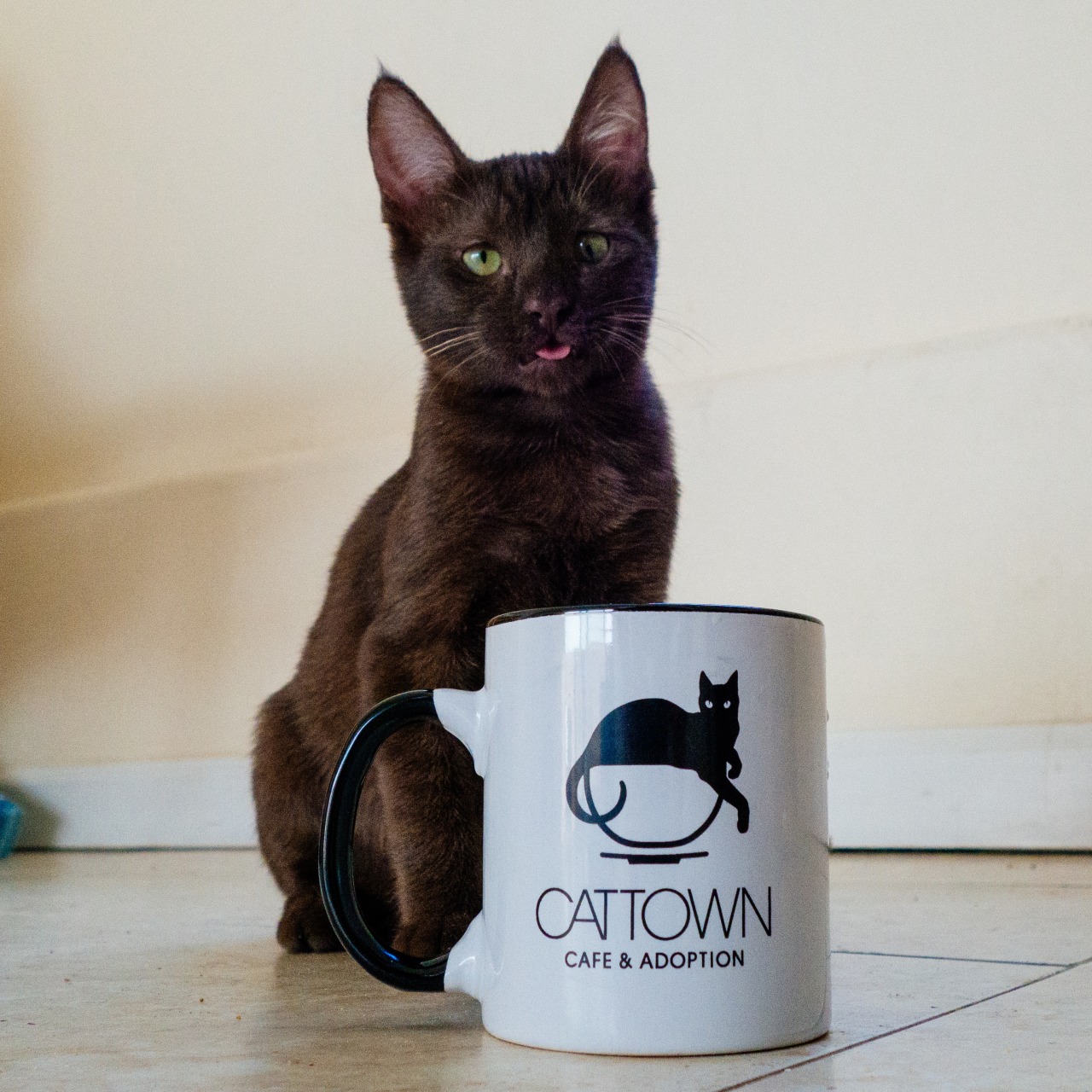 We&#8217;re excited to announce that on October 25th, 2014, we&#8217;ll be opening the doors to the Cat Town Cafe at 2869 Broadway in Oakland, CA! This will be the first cat cafe in the United States (inspired by the cafes made popular in Japan), and will enable us to empty many more cat cages from our local municipal shelter. The Cat Town Cafe will feature an area called the Cat Zone, where our cats will be free roaming and available for adoption. Visitors can spend up to an hour in the Cat Zone, and walk-ins are welcome as space allows. For a $10 donation, you can make a Cat Zone Reservation ahead of time, which ensures your visiting time is available, and supports a great cause. The cafe hours will be 8AM - 7PM Wednesday - Sunday, and the Cat Zone will be open from 10AM - 7PM. We can&#8217;t wait to start getting more cats out of the shelter and into great homes, see you in October! &gt;^. .^&lt; Ann, Adam, and all of us at Cat Town