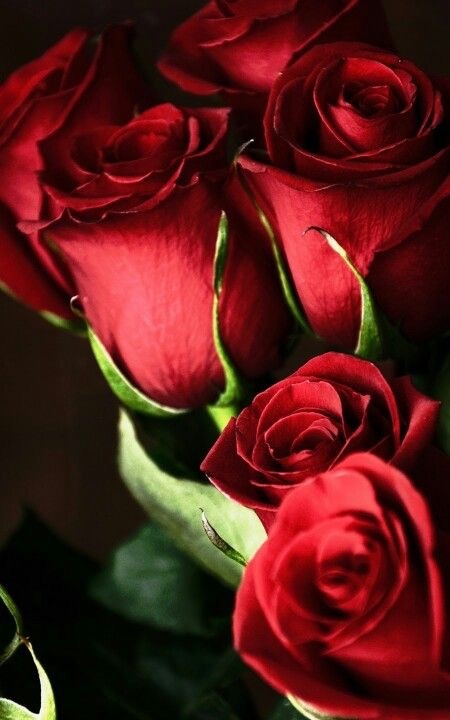 Te regalo una rosa - Página 2 Tumblr_nkjqn0PYJ91snd510o1_500