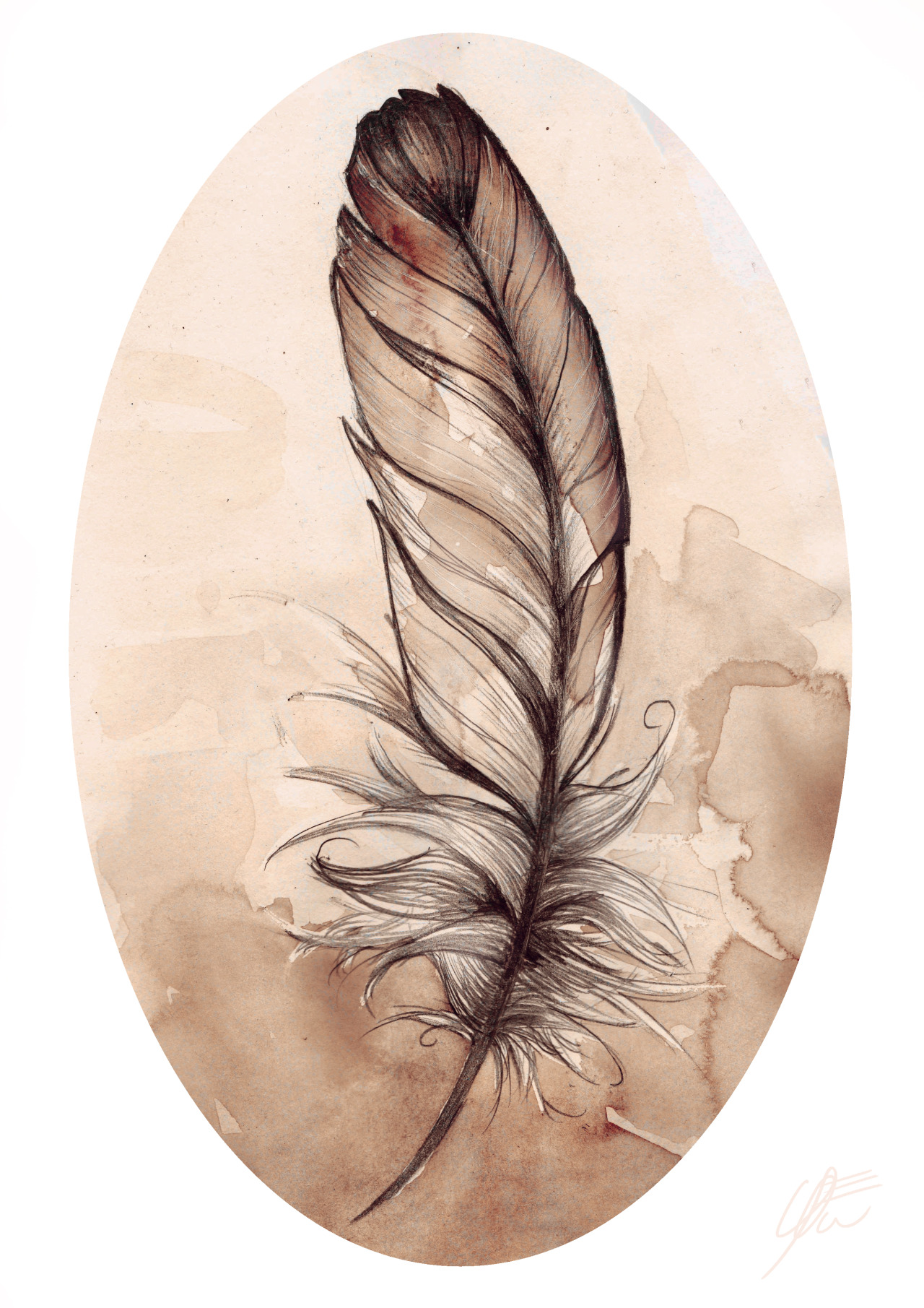 Sepia feather in watercolour and pencil http://instagram.com/vj.elliott94 http://dont-touch-the-paint.tumblr.com/