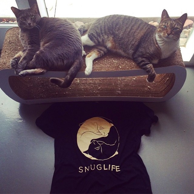 Cru &amp; Nala helping model the new SNUGLIFE shirt Alex N. got in the mail last week. We&rsquo;ll have a few more SNUG shirts at the cafe when we open on 10/25 and @iamthegreatwent will be taking a small amount of internet orders again in October &gt;^. .^&lt;