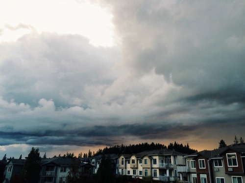 wendesgray: Perfect conditions for a Halloween night in with Harry Potter :) 
