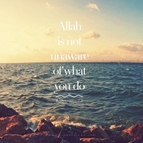 tumblr mtx1ewXD2r1rhu2gao1 500 - Imaan Boosting Islamic Reminders
